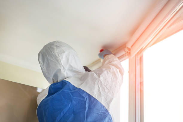 Trusted Brambleton, VA Mold Removal Experts